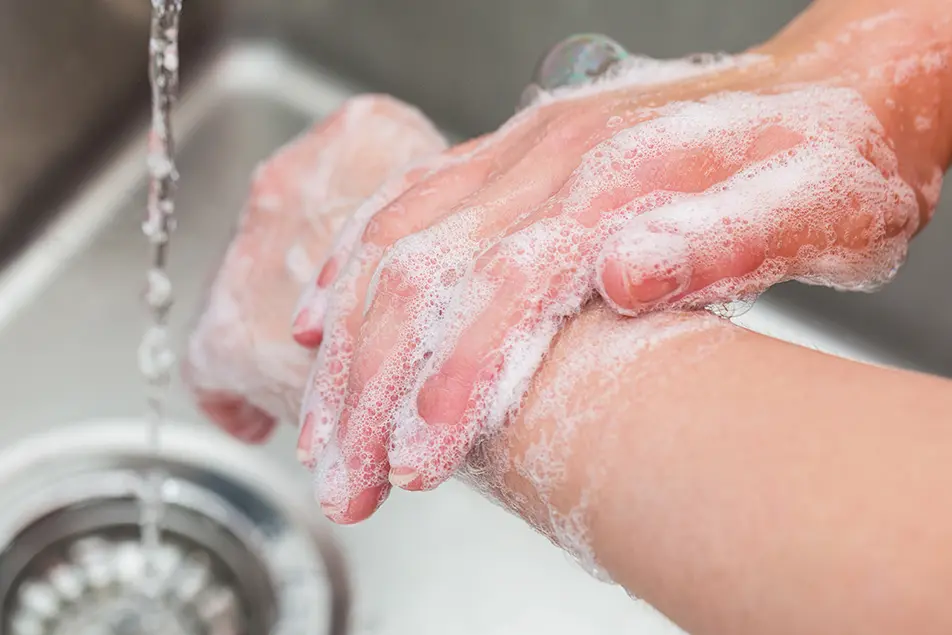proper handwashing technique